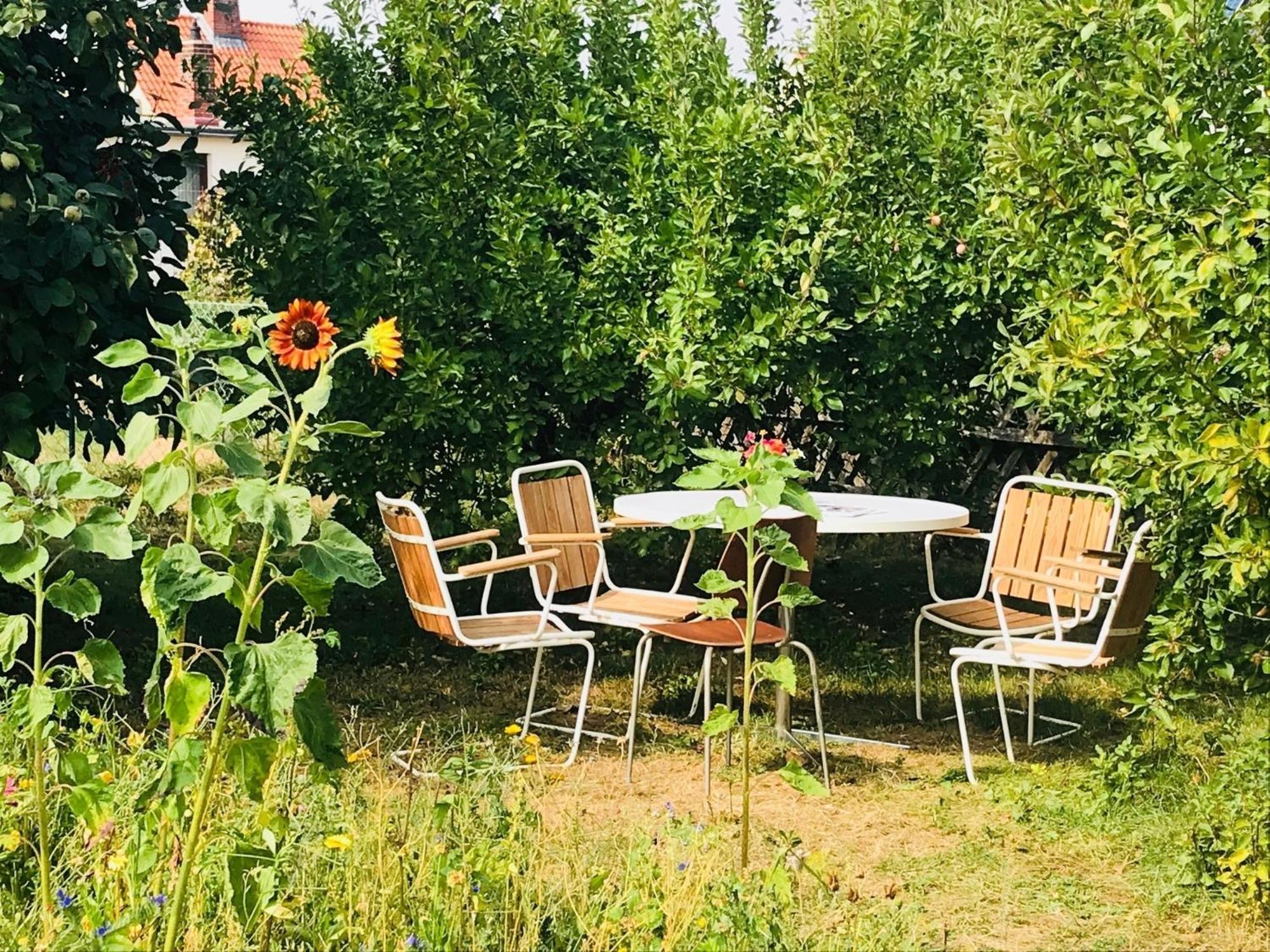 Casa Marcu Wohnung 1 Og Landkirchen Buitenkant foto